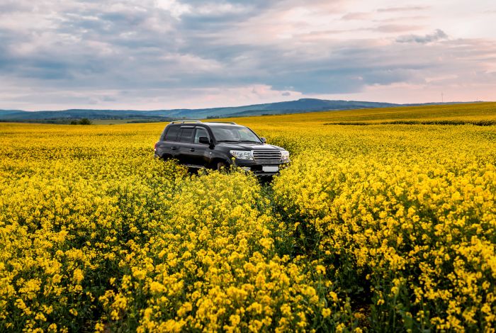 As a member of the NFU do you need an SUV for work and leisure